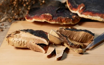 The Miraculous Reishi Mushroom