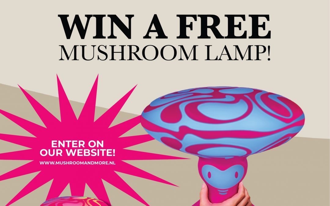 Mushroom lamp giveaway!